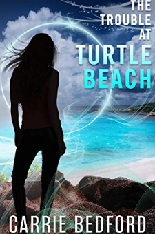 The Trouble at Turtle Beach