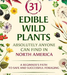 31 Edible Wild Plants