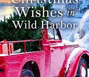Christmas Wishes in Wild Harbor
