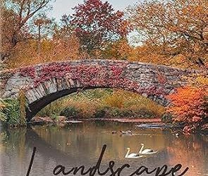 Landscape of a Marriage