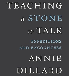 Teaching a Stone to Talk