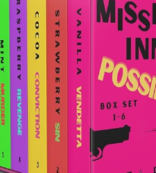 The Mission Inn-Possible (Books 1-6)