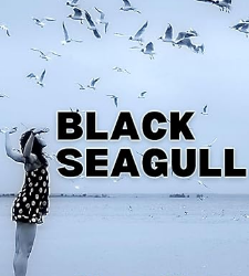 Black Seagull