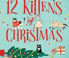 The 12 Kittens of Christmas