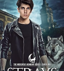 Werewolf Academy: Strays