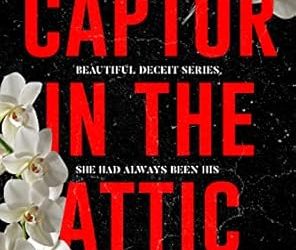 Captor in the Attic