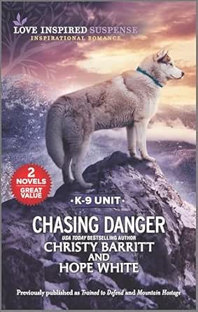 Chasing Danger (Boxed Set)