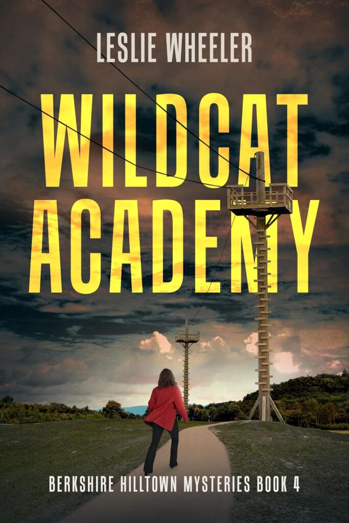 Wildcat Academy