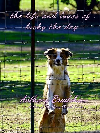 The Life and Loves of Lucky the Dog